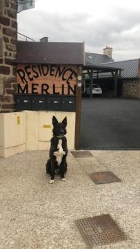 Residence Merlin Appart Des Druides Saint-Malon-sur-Mel 외부 사진